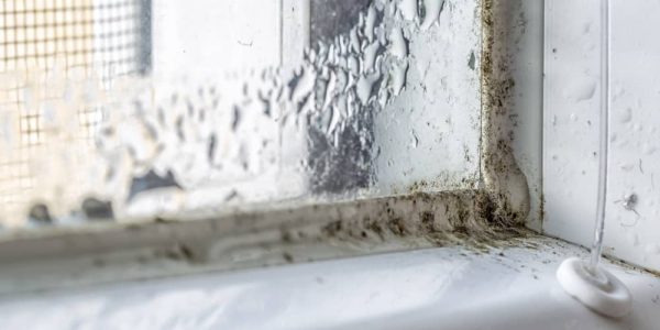 traitement humidité condensation humisolutions