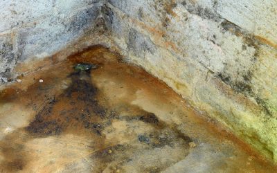 cave humide humisolutions